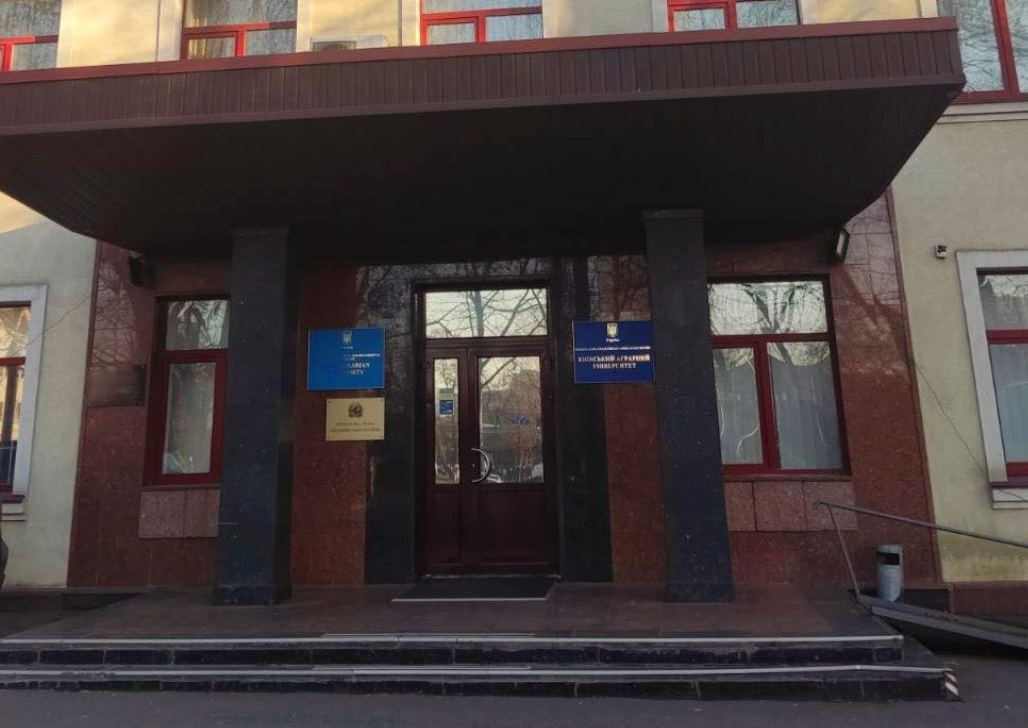 КАУ НААН